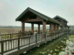 -天津东丽湖风景区