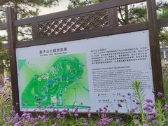 -莫子山公园