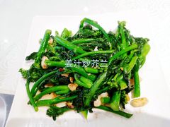 姜汁炒芥兰-新兴·金羊座·粤菜点心(乐峰店)