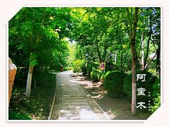 -盘锦红海温泉乐园