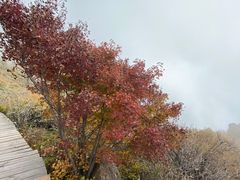 -白草畔自然风景区