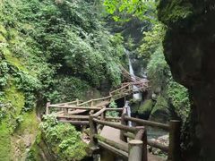 -青城山