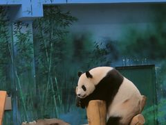 -沈阳森林动物园