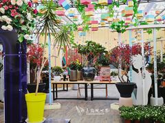 -荷兰花海