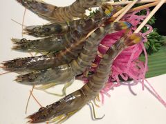 斑节虾-行家海鲜火锅酒家(静安寺店)