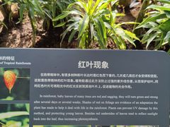 -北京植物园-展览温室