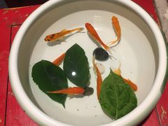 -小龙坎火锅(双林店)