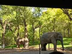 -北京野生动物园