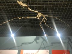 -大连自然博物馆·地球展厅