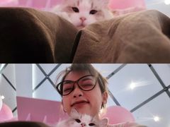 -PO PARK东方宝泰