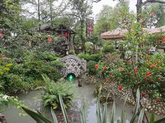 -青城甲(青城山店)