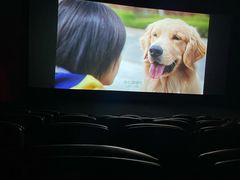 -UME影城(西城广场店)