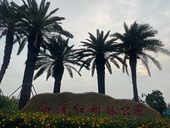 -宝安西湾红树林湿地公园