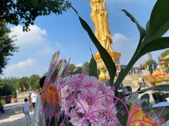 -广州莲花山旅游区