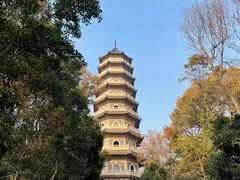 -灵谷景区