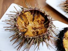 -海胆小馆(东北水饺·春柳店)