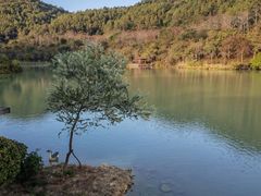 -广州白江湖森林公园