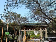 -王借岗森林公园