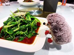 -正兴蜀园(科技园区店)