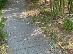 -南通洲际绿博园