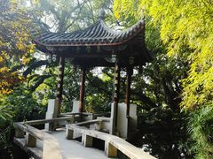 -乌山风景区