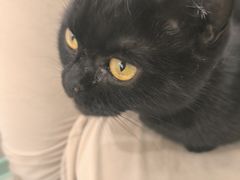 -怪兽屋·羊驼·猫咖·狗咖(俊华广场店)