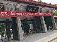 -西苑公园