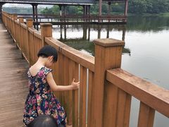 -飞来湖湿地公园
