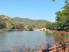 -大屏嶂森林公园