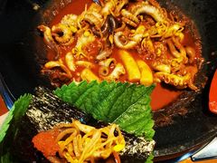 -红辣椒八爪鱼特色韩国料理