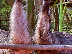 -常州淹城野生动物世界