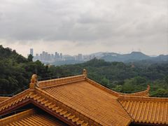 -深圳仙湖植物园