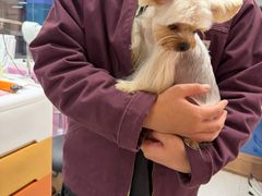 -FAELING PETS美天灵宠物(富力广场店)