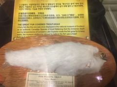 -信不信由你博物馆