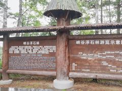 -峡谷浮石林景区