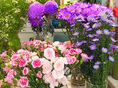 -花里花店(唐镇阳光天地店)