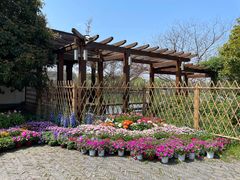 -尚湖风景区