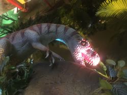 -恐龙探索乐园(磁器口店)