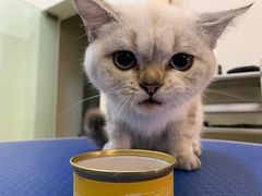 -沐沐家宠物(成寿寺店)