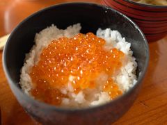 -蟹料理 北海道かに将軍(札幌本店)