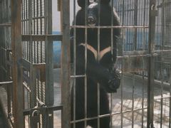 -保定市动物园