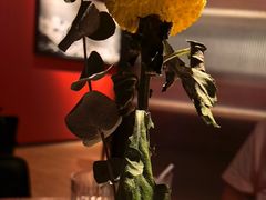 -拉蒂娜·巴西牛排馆 Latina·Brazilian Steakhouse(王府井喜悦店)