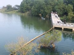-贡湖湾湿地公园