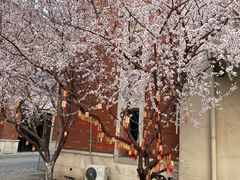 -福慧轩(东丽湖店)