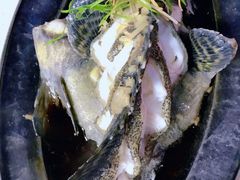 -阿浪海鲜连锁加工店(B栋2排1号火车头店)