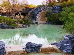 -吴淞炮台湾湿地森林公园烧烤区