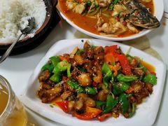-煲来饱去冷水鱼