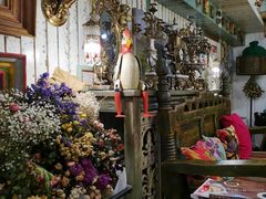 -六月花园咖啡馆(中关村东路店)