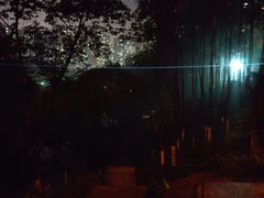 -重庆彩云湖湿地公园