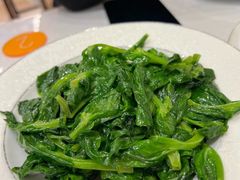酒香豆苗-白家餐厅(徐家汇店)